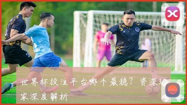 世界杯投注平台哪个最稳？资深玩家深度解析