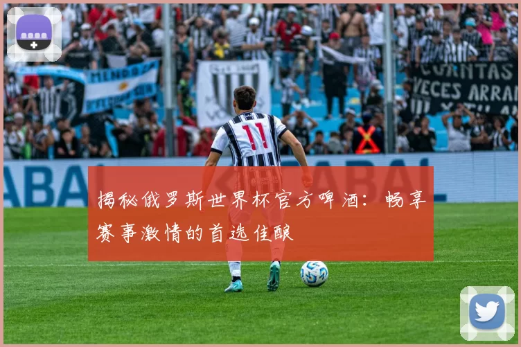 揭秘俄罗斯世界杯官方啤酒:畅享赛事激情的首选佳酿