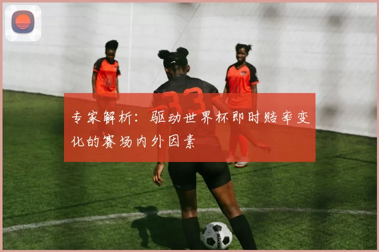 专家解析:驱动世界杯即时赔率变化的赛场内外因素