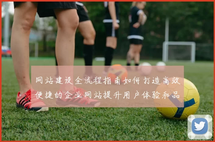 网站建设全流程指南如何打造高效便捷的企业网站提升用户体验和品牌价值