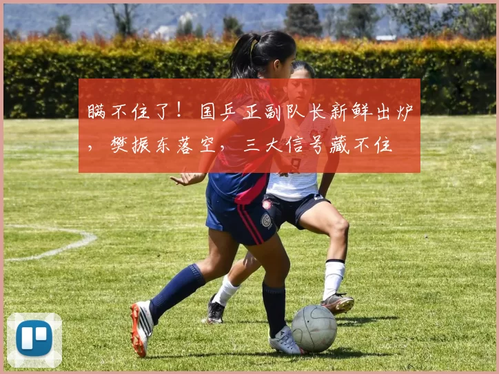 瞒不住了！国乒正副队长新鲜出炉，樊振东落空，三大信号藏不住