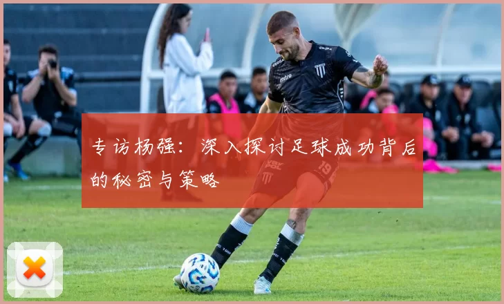 专访杨强：深入探讨足球成功背后的秘密与策略