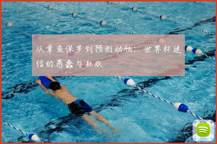从章鱼保罗到预测动物：世界杯迷信的愚蠢与狂欢