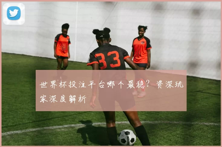 世界杯投注平台哪个最稳？资深玩家深度解析