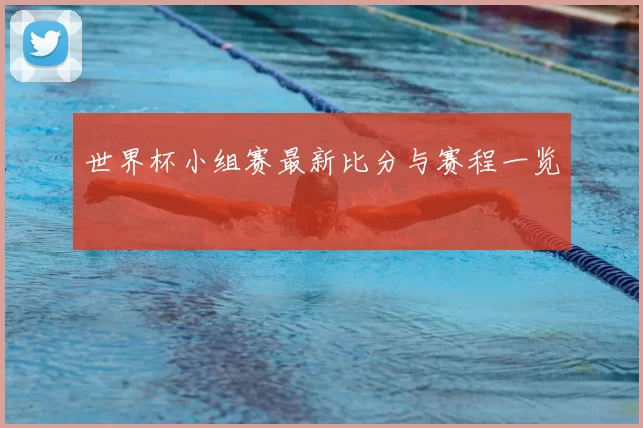 世界杯小组赛最新比分与赛程一览